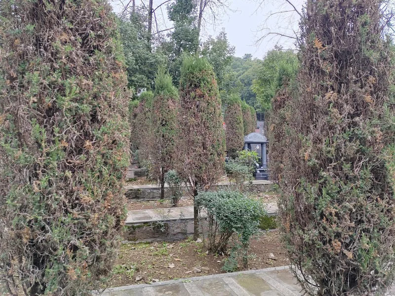 重庆宝公墓陵园