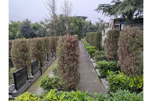 重庆生态纪念园