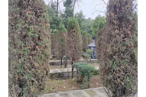 重庆宝公墓陵园